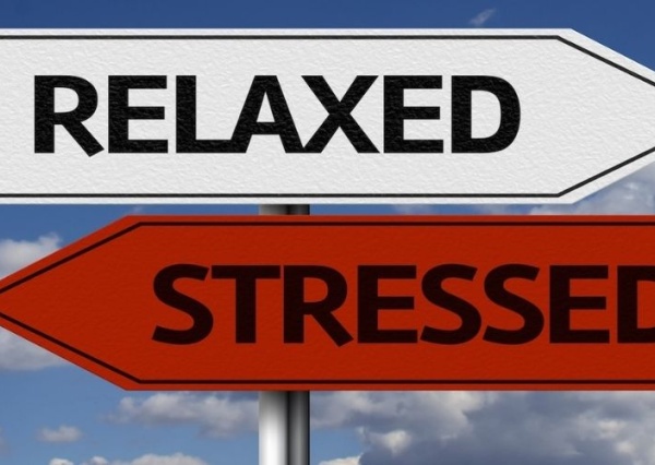 Cos'è lo stress
